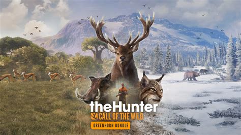 Hunter: Call of the Wild – Eine Jagdsimulation, die dich in atemberaubende Naturwelten entführt!